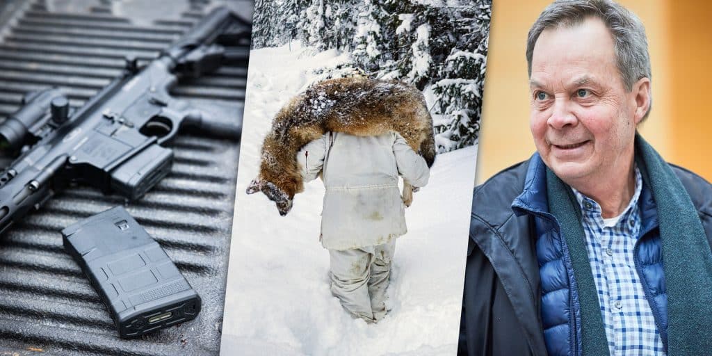 Veckans nyheter: AR-debatt, JO-anmäld rovdjurspårare och bakslag för Karl Hedin