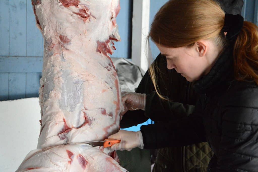 Ett hårt slag mot jägarna när förädling av viltkött förbjuds