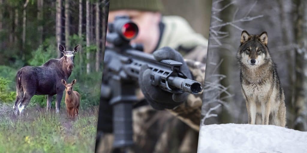 Gör din röst hörd – skriv en debattartikel