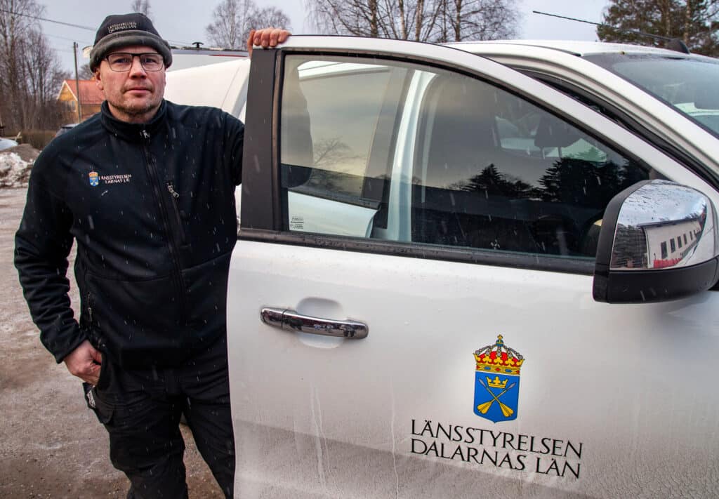 Rovdjursföreningen fick inget gehör för sin anmälan – Perols får jaga