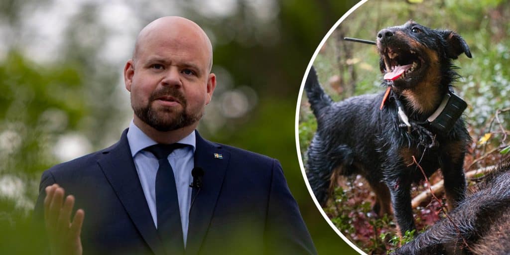 Landsbygdsministern om viltkorvförbudet: Märkligt och förvånande