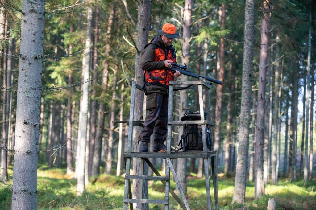 Jättelik solcellsanläggning kan rasera anrikt viltvårdsområde