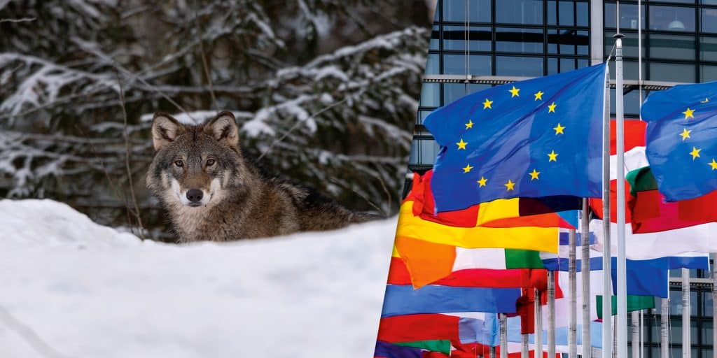 EU-kommission kommer presentera ett nytt lagförslag