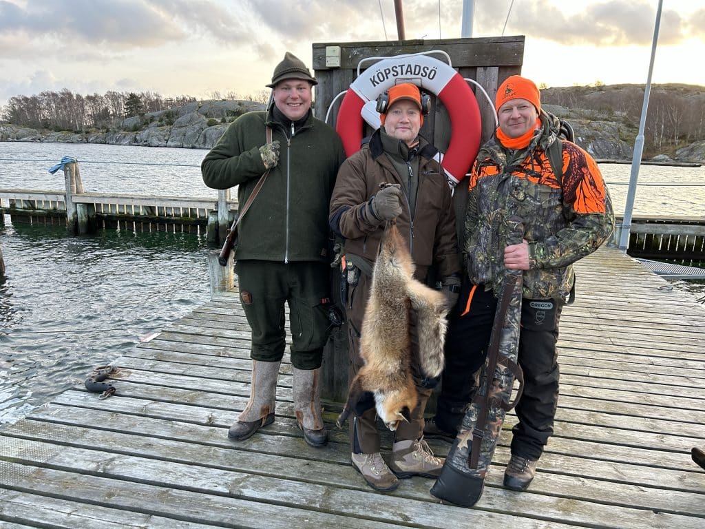 Lyckade rävjakter i Göteborgs södra skärgård
