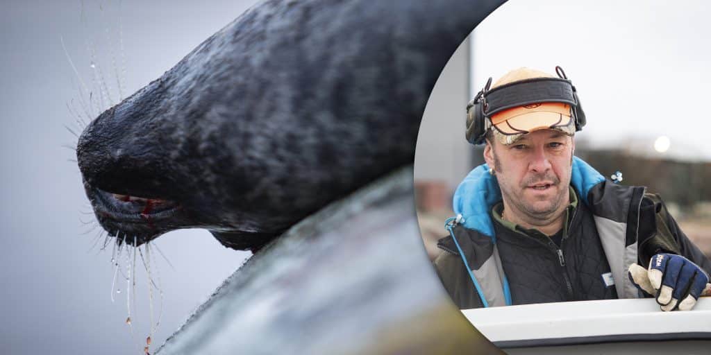 Jaktstoppet: Ett slag mot planerat säljaktprojekt