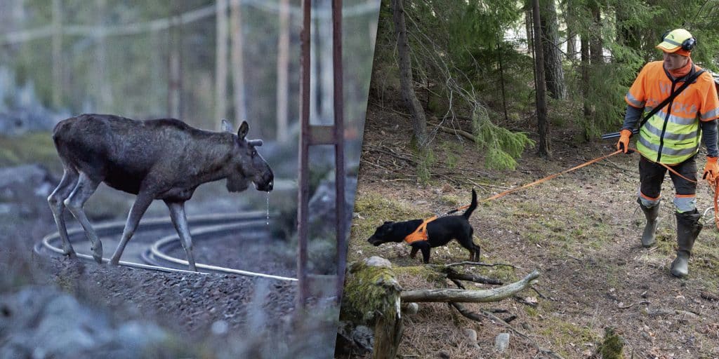 Ökat antal eftersök ger minskat lidande