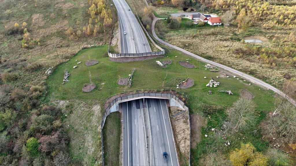 Storleken har betydelse – korta viltpassager populärare bland klövviltet