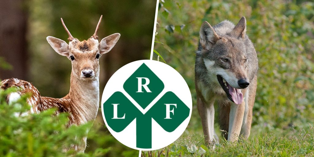 ”LRF krokade arm med vargförespråkarna”
