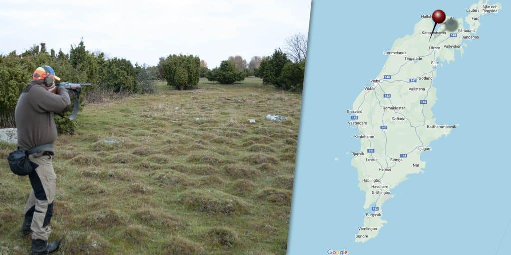 Kräver jaktförbud i naturreservat – regeringen prövar inte frågan