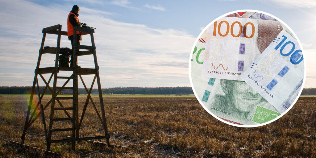 Jaktförening lurad på stora pengar – får skadestånd efter tingsrättsdom