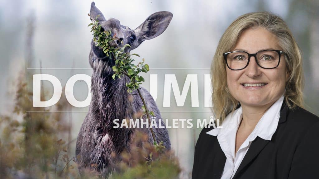 Del 4: Maximalt fem procent betesskador – är det ditt mål?