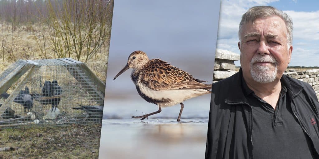 Viltvårdsprojekt på Öland prisas återigen