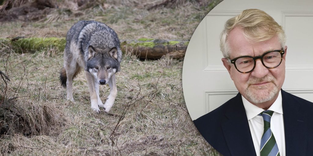 Paragraf 28:an i Östergötland – rekonstruktion ska genomföras