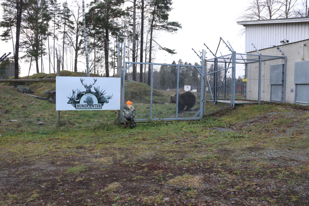Utbildningsjakt – teori blir praktik på Almunge Hundcenter