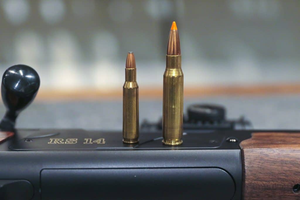 Vapenfrågan: Varför duger inte .222 till vildsvin?