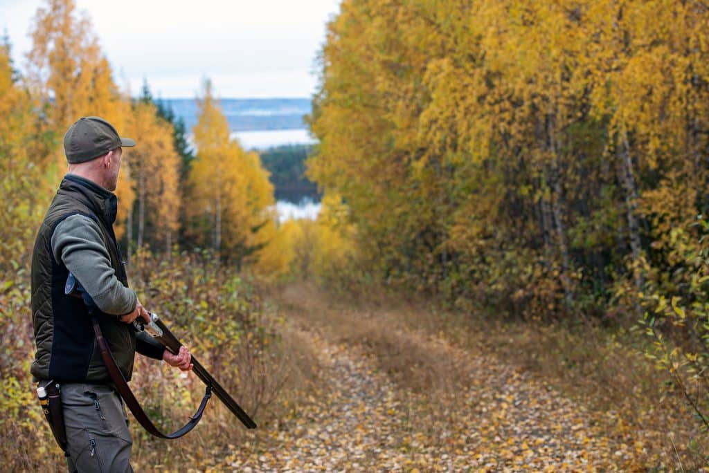 Experter vill flytta vapenlicenser från Polisen