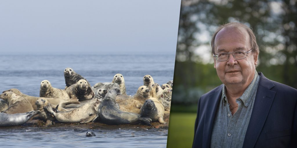 Lämna Helcom – förbundsordförande lyfte radikalt förslag