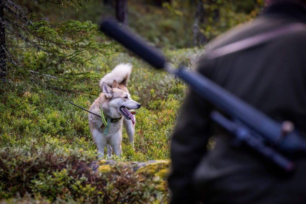 ”Generösa jakttider gynnar oss alla”
