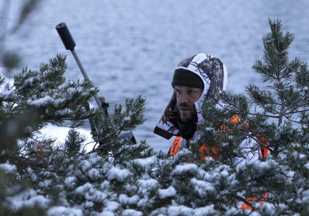 Jakt på vitsvanshjort i Finland: ”Lite för enkelt”