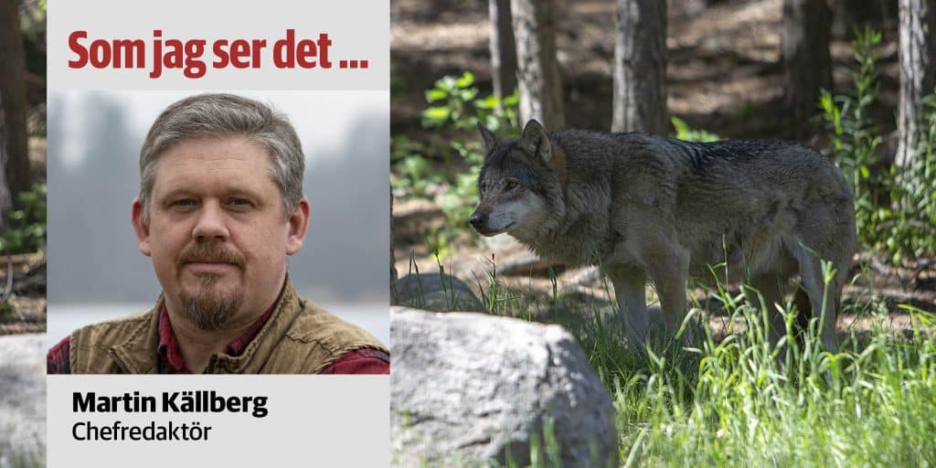 Ett infriat vallöfte – blir det verklighet?