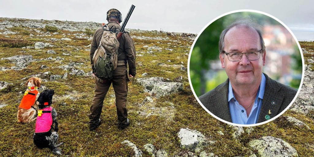 ”Defensivt och märkligt” – Jägareförbundet sågar statens kovändning om fjälljakten