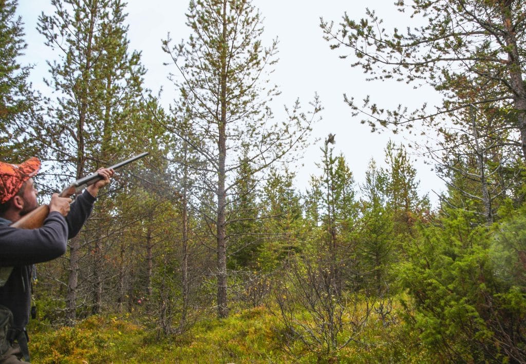 Studie: Finska sågverk klarar stålhagel