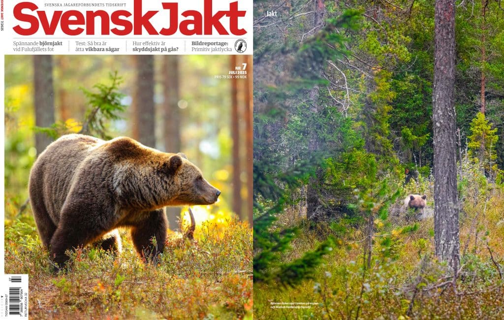 Nytt nummer av Svensk Jakt: Rafflande björnjakt och fjällets magi