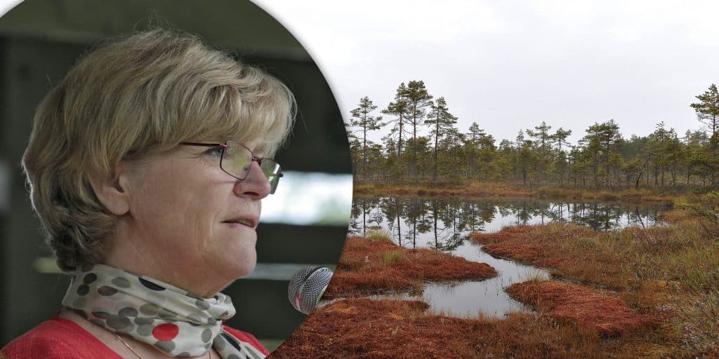 Maria Norrfalk är ny ordförande i Våtmarksfonden