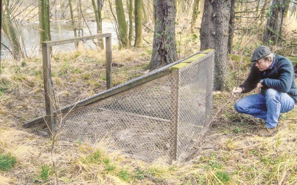 Ritning: Lättbyggd rävfälla