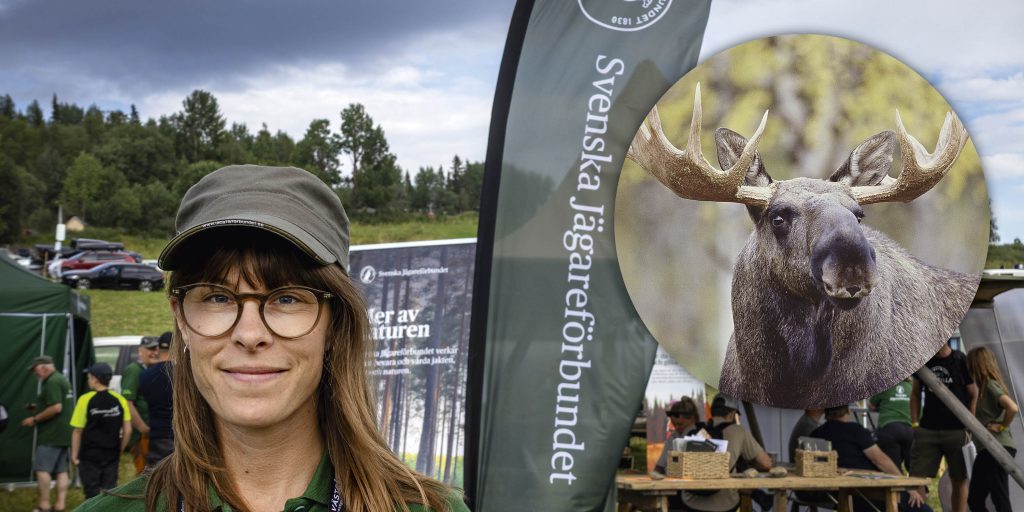 Jägareförbundet propagerar för en meningsfull älgjakt