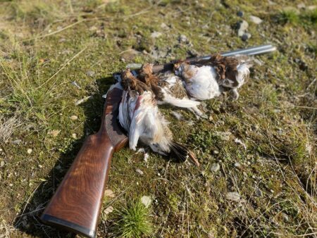 browning 725