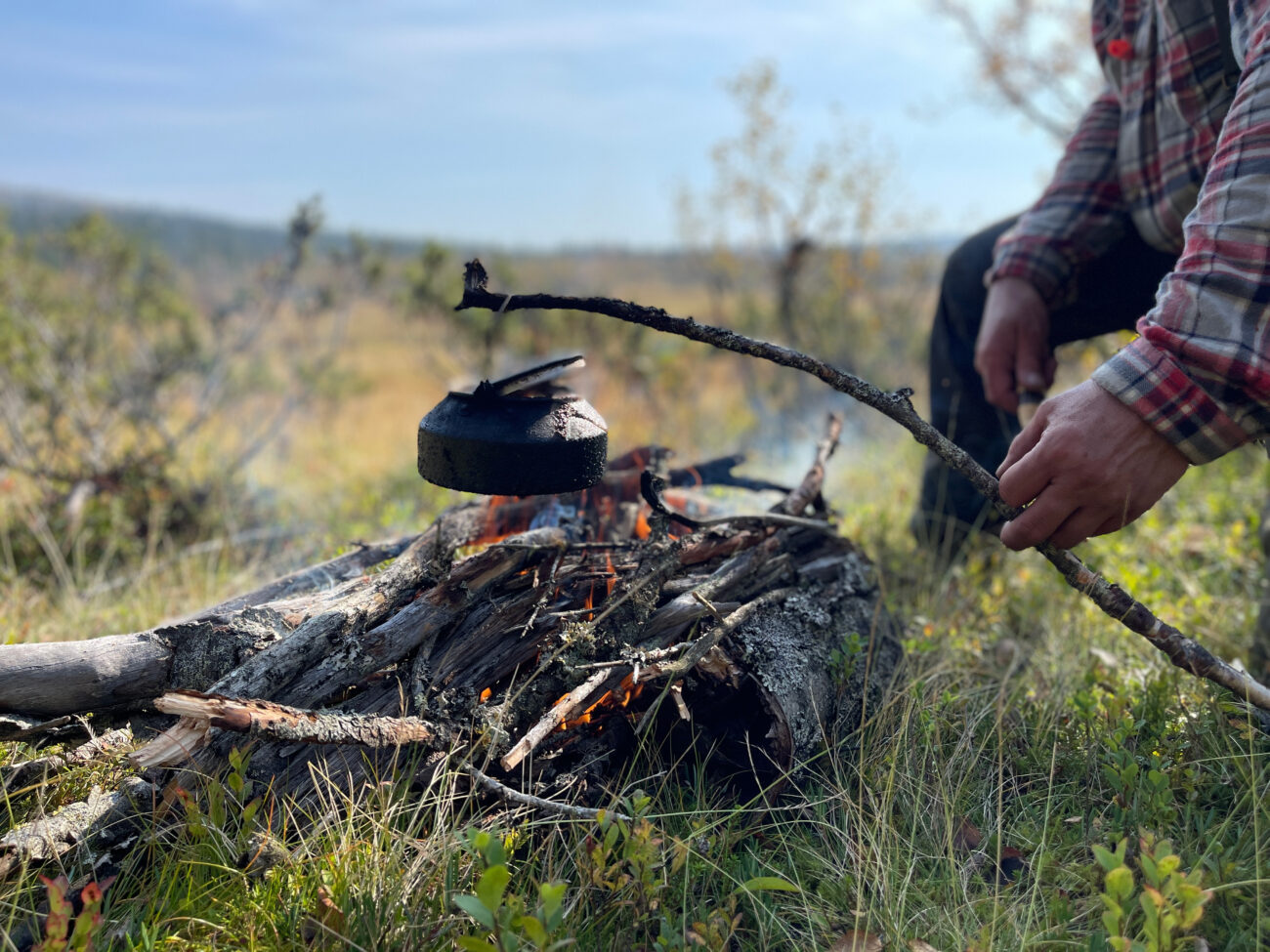 Ripa och skogsfågel – i magiska Trumvallen