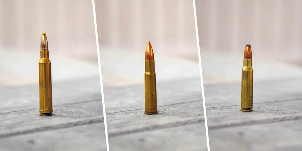 Testa dig själv i våra ”omöjliga” kaliberfrågor