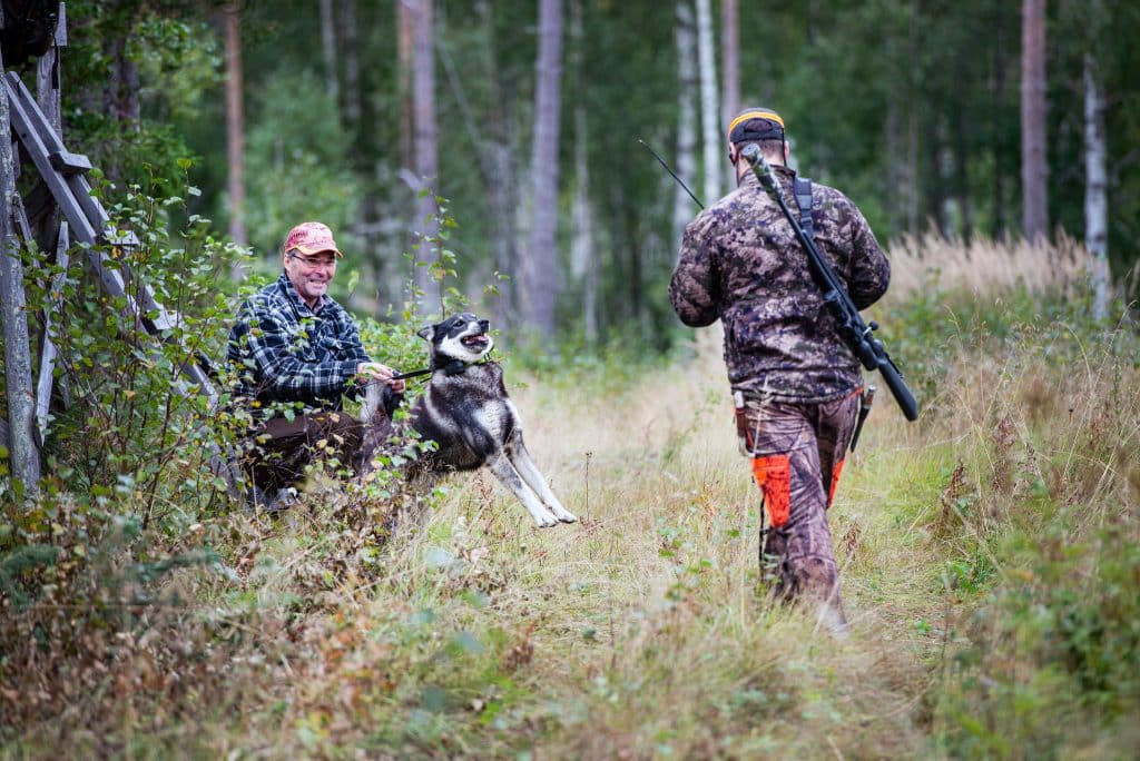 ”Stora skillnader mellan länens älgvårdsfonder”