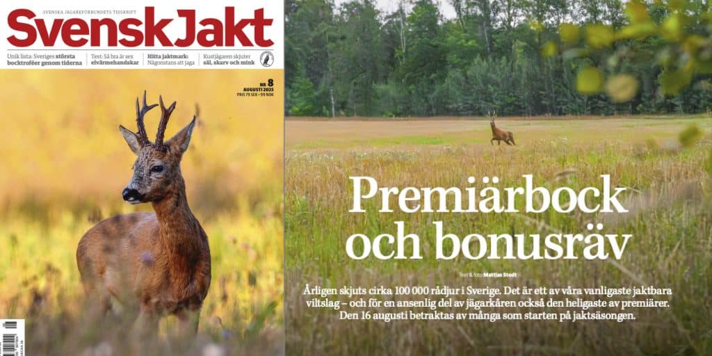 Nytt nummer av Svensk Jakt: Premiär för bockjakt och älgjakt i varmare klimat