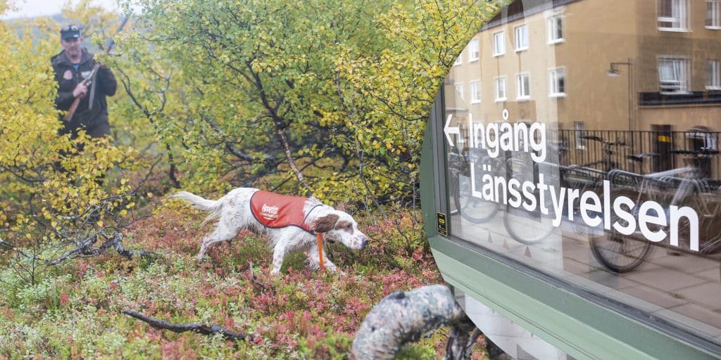 Jägare JO-anmälde länsstyrelsen – utan framgång