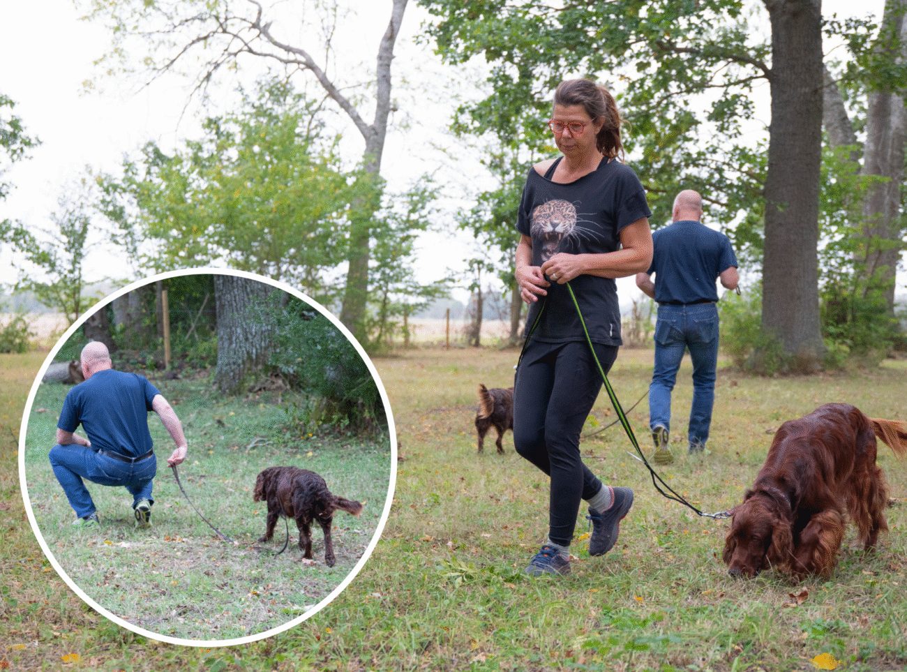 Bild på Linda som och Ulf som tränar sin hund på olika sätt, Linda som går i en större båge och ulf som tittar bort från distraktion för hunden för att bryta hundens mönster