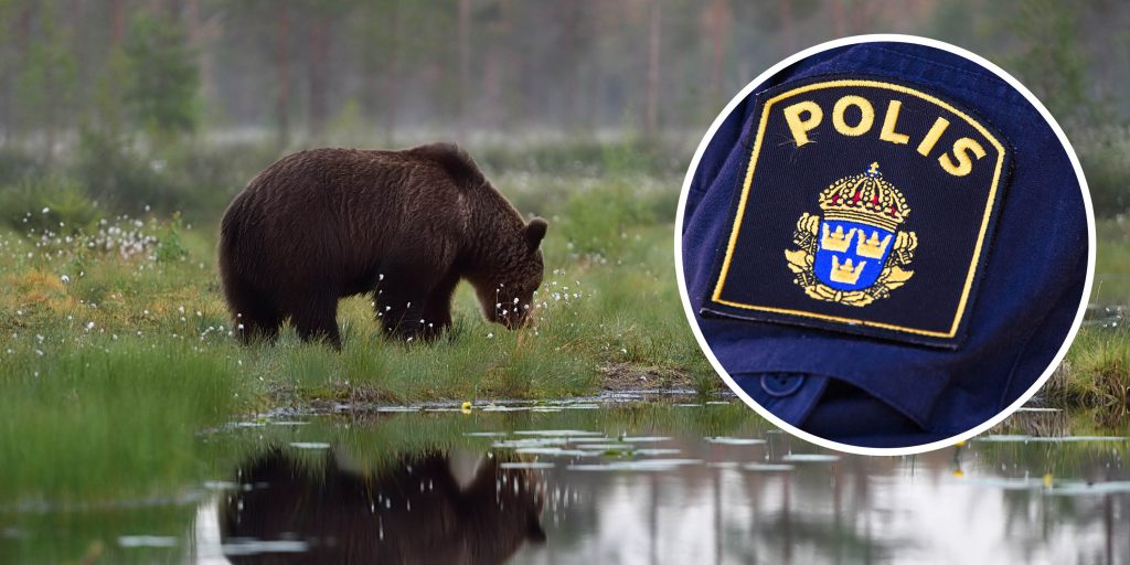 Jaktlag uppsagt med omedelbar verkan: ”Ärendet hanteras av polis”