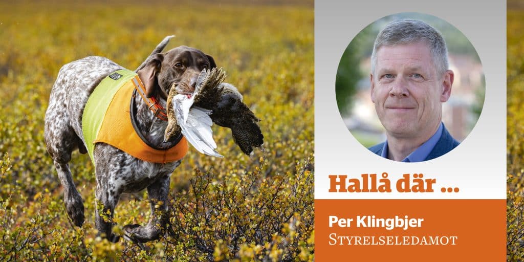 Tar du med dig jakten in i Kennelklubbens styrelse?