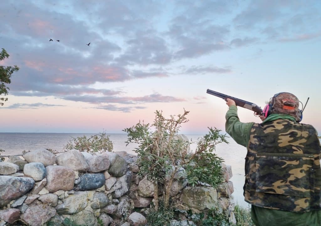 Jägare gör gemensam sak för ökad jakt på skarv