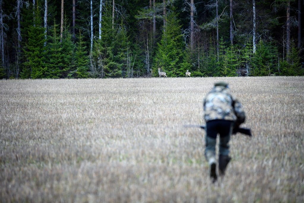 Viltvårdsområde vill stoppa vårbockjakt – jägare överklagar