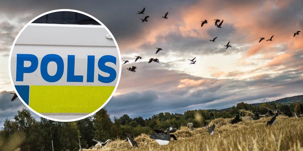 Polispådrag: ”Skottlossning på åkern” var gåsjakt