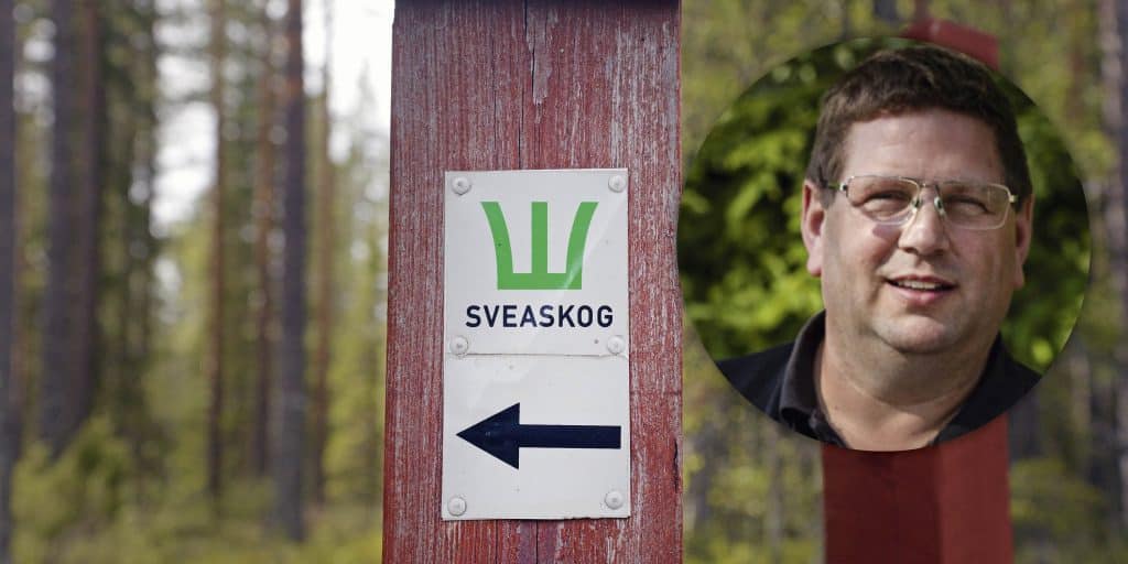 Sparkade älgjaktlagen får tillbaka jaktmöjligheterna