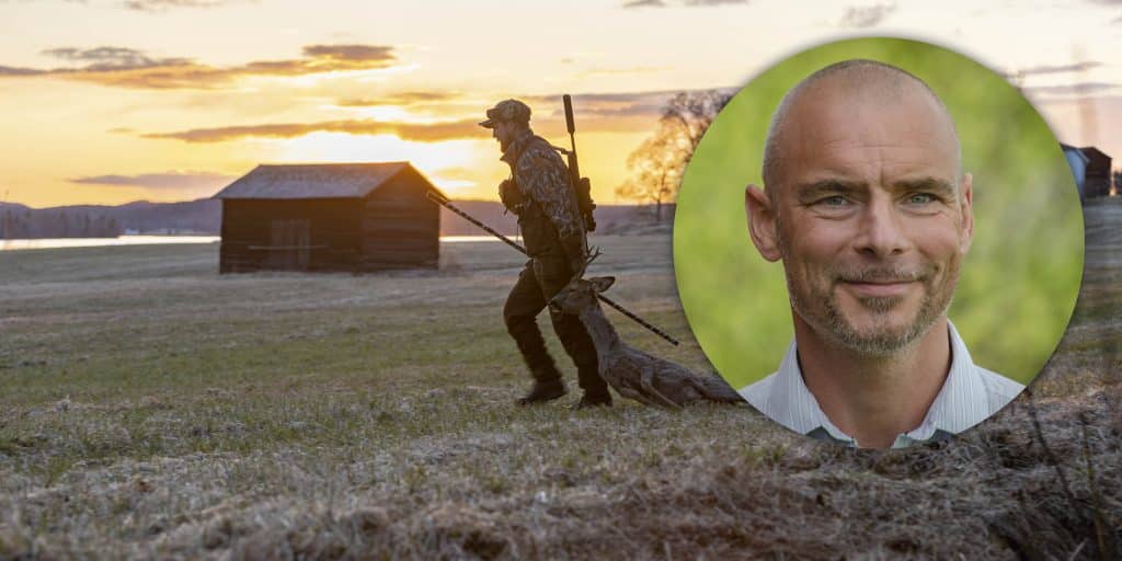 Jägareförbundet: ingen fara för rådjursstammen i norr med vårbockjakt