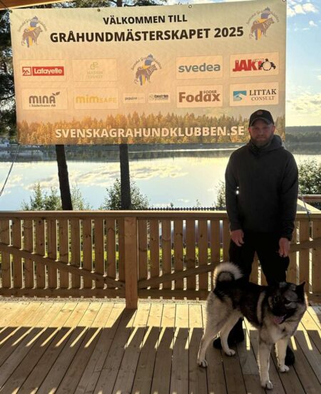 Gråhundsmästerskapet 2025 avgjordes i Västerbotten