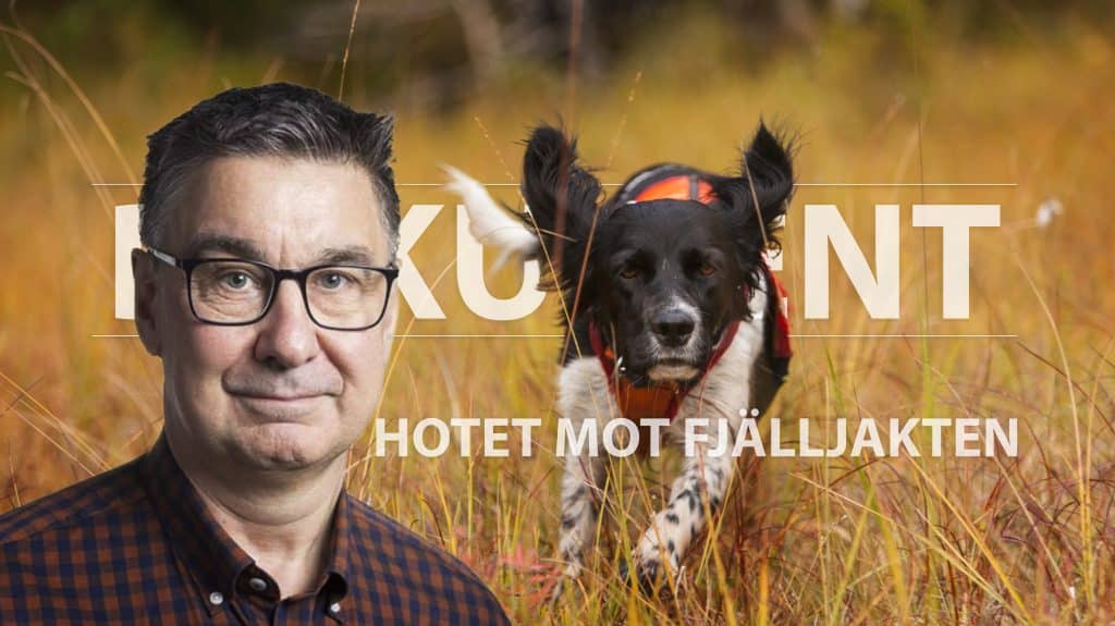 Del 4: Jakthundskommitténs ordförande förvånad över tystnaden bland hundklubbarna