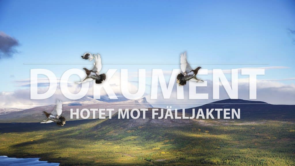 DEL 1: Historisk rättsstrid om fjällen – nätverk sätter press på regeringen