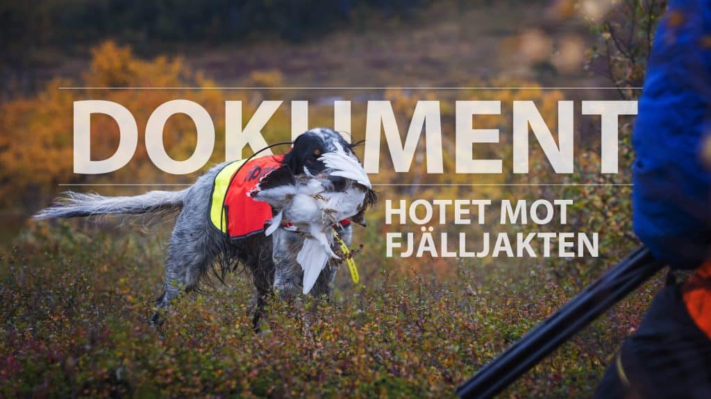 Del 2: Kennelklubben agerar för att staten ändrar sin talan i fjällmålen