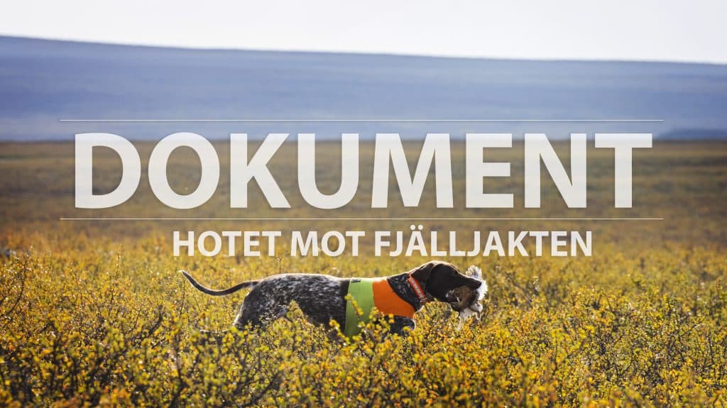 Del 3: Oro och rädsla i hundklubbarna – få vill ta debatten