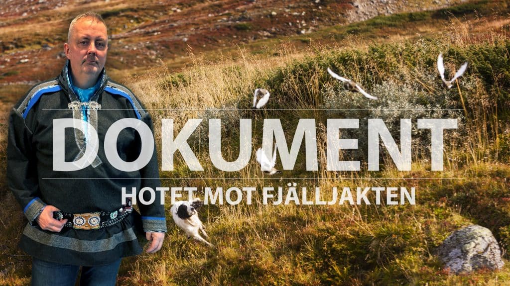 Del 5: Girjas sameby: Därför är jakten stängd första veckorna